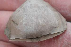 P9260008.jpg