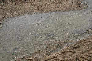 IMGP5475.jpg