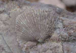 PA240017.jpg