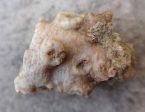 PA270116.jpg