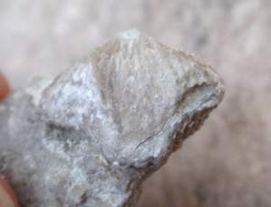 PA270131.jpg